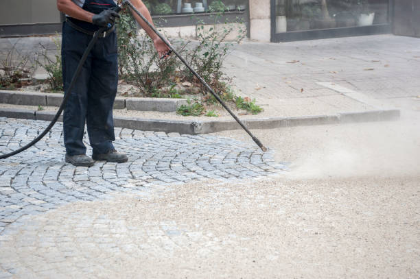 Animal Enclosure Cleaning in Calumet Park, IL