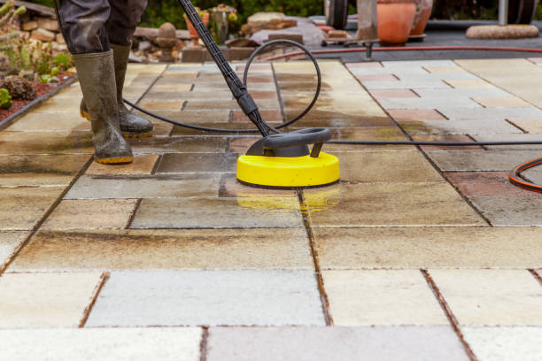 Best Gutter Cleaning  in Calumet Park, IL